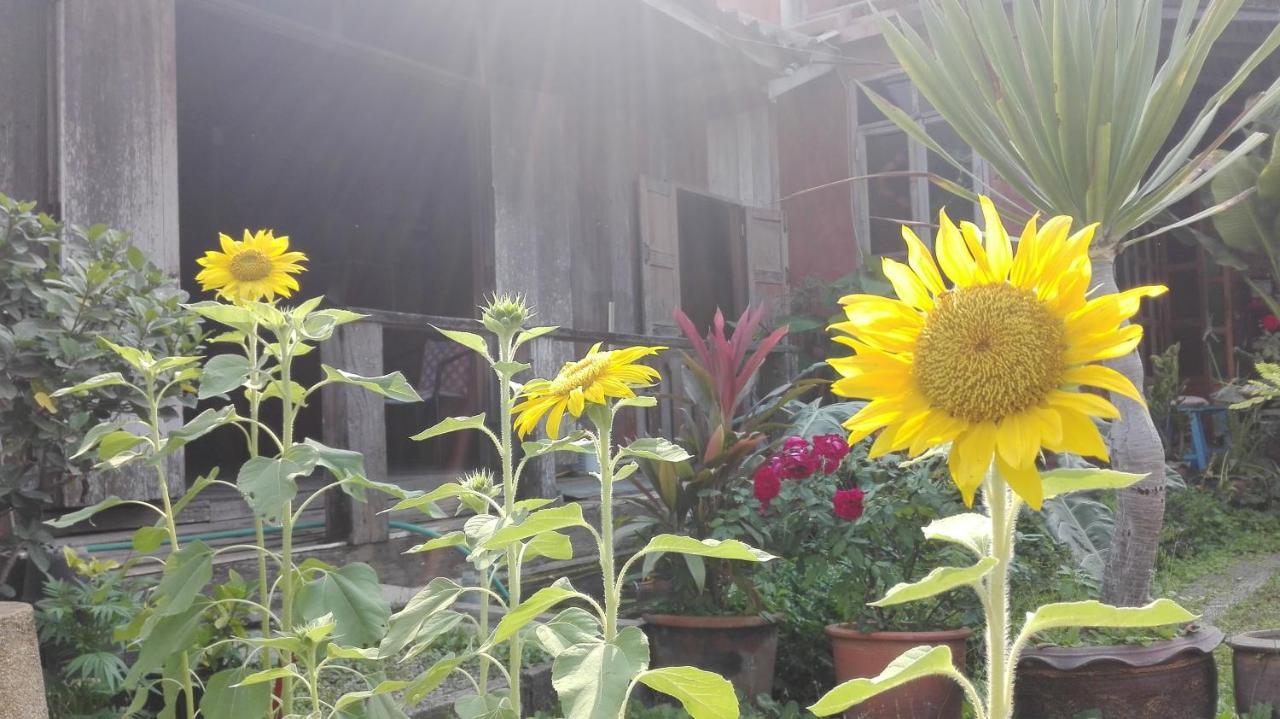 Hotel Maeloegyi Maesariang Mae Sariang Exterior foto